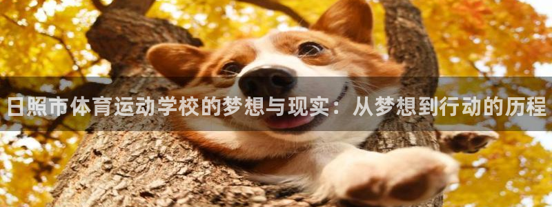 yy易游官方正版app集团E.ON:日照市体育运动学校的梦想