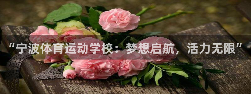 yy易游官方正版app集团官网网址:“宁波体育运动学校:梦想