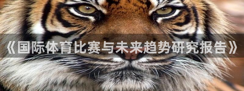 yy易游官网下载联系电话:《国际体育比赛与未来趋势研究报告》