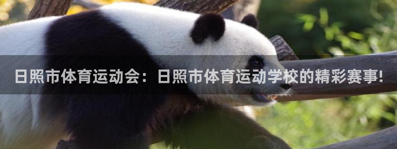 yy易游官方正版app娱乐代理怎么样:日照市体育运动会:日照