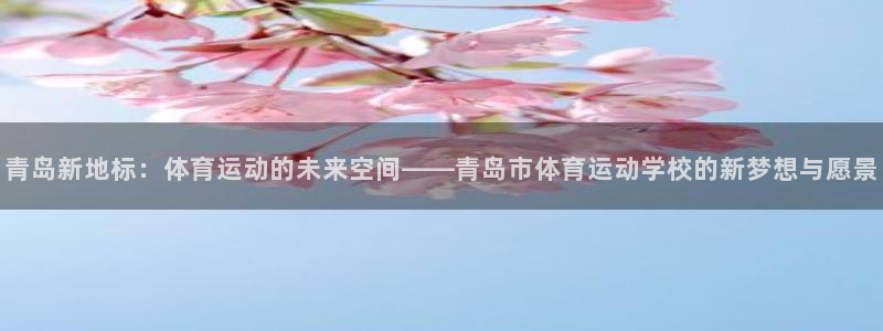 yy易游官方正版app娱乐首页网站大全:青岛新地标:体育运动