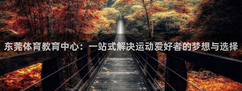 yy易游官网下载平台注册流程视频:东莞体育教育中心:一站式解