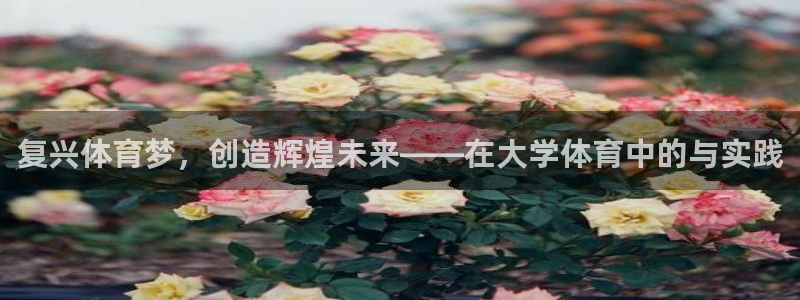 海南yy易游官网下载:复兴体育梦,创造辉煌未来——在大学体育