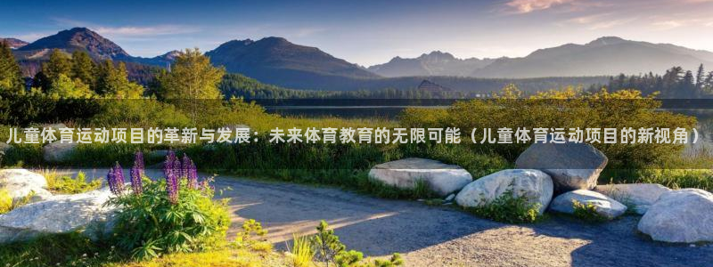 yy易游官网下载平台是正规平台吗安全吗:儿童体育运动项目的革