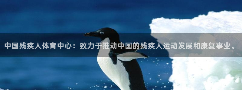 yy易游官方正版app集团简介:中国残疾人体育中心:致力于推
